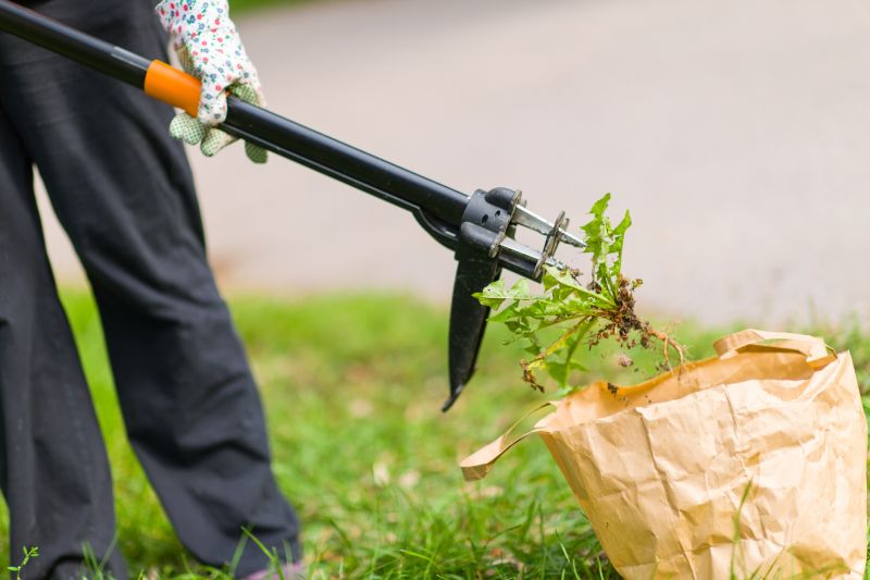 Weed Removal Inside Beds