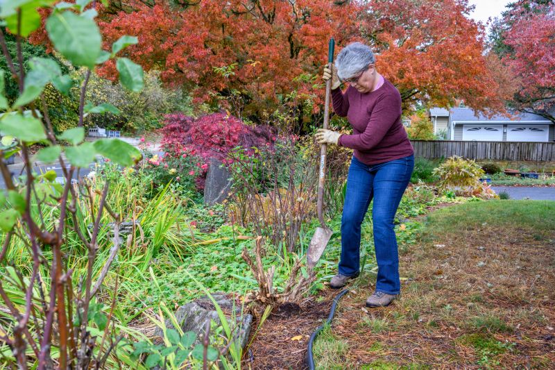 Autumn Flower Bed Maintenance
