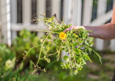 Remove Weeds from Your Garden!